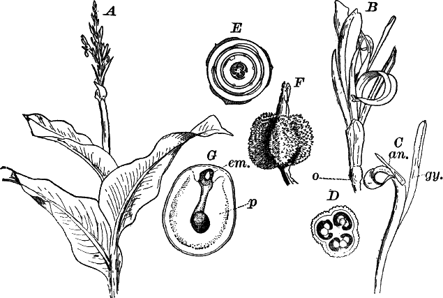 Fig.&nbsp;88.