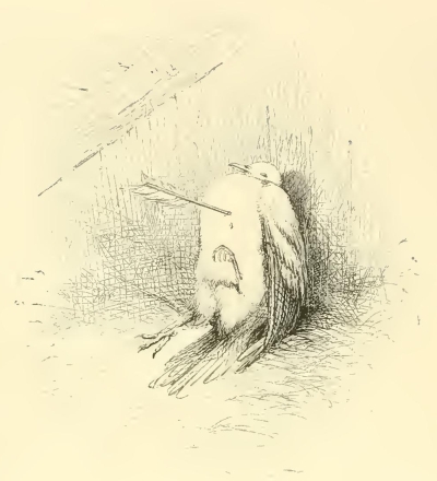 0118m