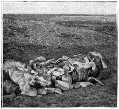 Gesloten kindergraf der Netsjilli-Eskimo&rsquo;s