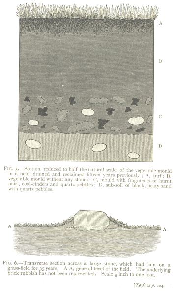 Fig. 5: Section of the vegetable mould in a field.  Fig. 6:
Traverse section across a large stone
