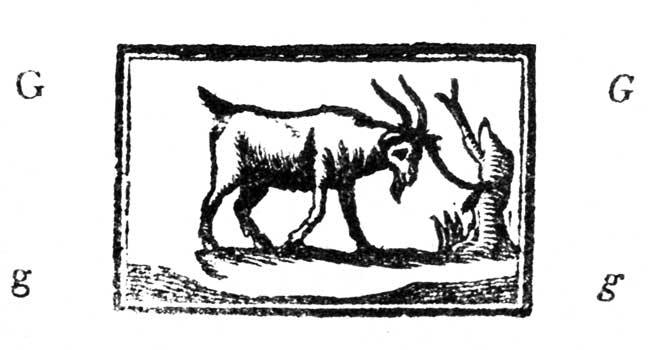 This goat has horns and a beard&mdash;he seems to have a mind to butt the old tree.