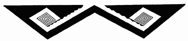 Fig. 320&mdash;W-pattern; terminal rectangles