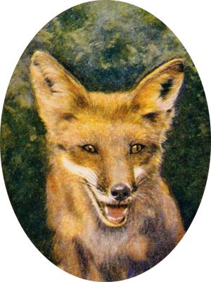 Frontispiece