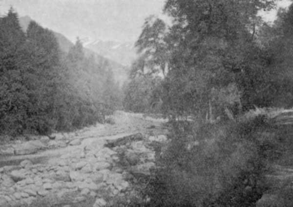 Fig. 91. Bi&aacute;s at Man&aacute;l&iacute;.
