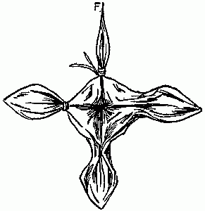 Fig. 249&mdash;Twist each corner into a point.