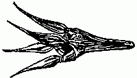 Fig. 250&mdash;Bring the points together.