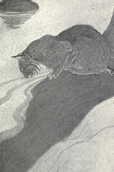 "HIS ROUND FACE BENT CLOSE DOWN TO THE GLASSY
SURFACE."