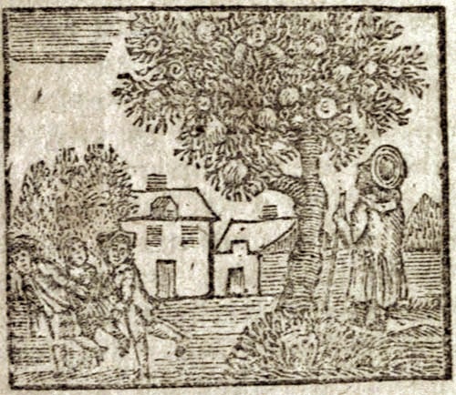 A house and a tree with a man standing under
the tree