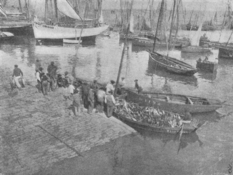 DOUARNENEZ, FINISTÈREBy Dr. A. D. Chaffee, New York DOUARNENEZ, FINISTÈRE, By Dr. A. D. Chaffee, New York