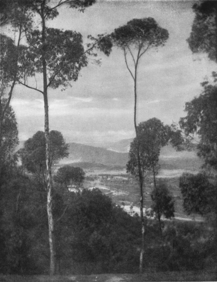 ELYSIAN PARK VISTABy David J. Sheahan, Los Angeles, Cal. ELYSIAN PARK VISTA, By David J. Sheahan, Los Angeles, Cal.