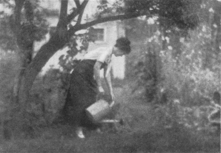 THE FLOWER GARDENBy Cornelia F. White, New York THE FLOWER GARDEN, By Cornelia F. White, New York