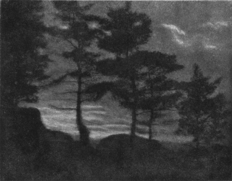 LANDSCAPEBy Eleanor C. Erving, Albany, N. Y. LANDSCAPE, By Eleanor C. Erving, Albany, N. Y.