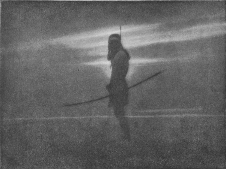 THE LAST OF HIS RACEBy L. M. A. Roy, La Crosse, Wis. THE LAST OF HIS RACE, By L. M. A. Roy, La Crosse, Wis.