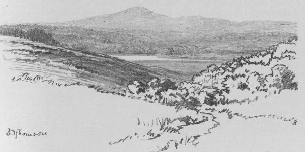 Crooksbury Hill and Frensham Little Pond, from Frensham
Common.