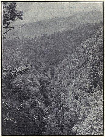 PHOTOGRAPH BY G. CLYDE FISHER.