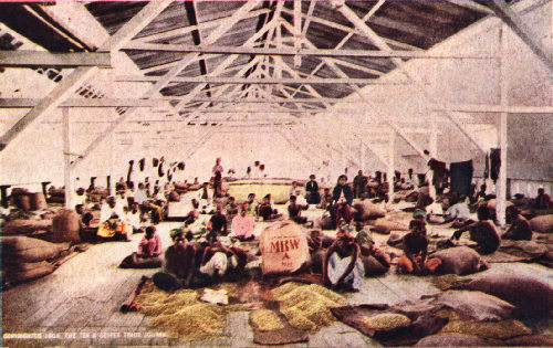 Interior of a Dutch Coffee-Cleaning Factory, Padang