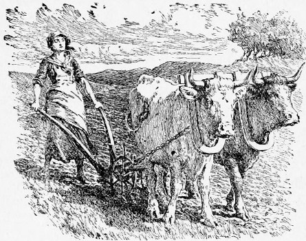 'She stoutly steered the stots about.'&mdash;p. 110.