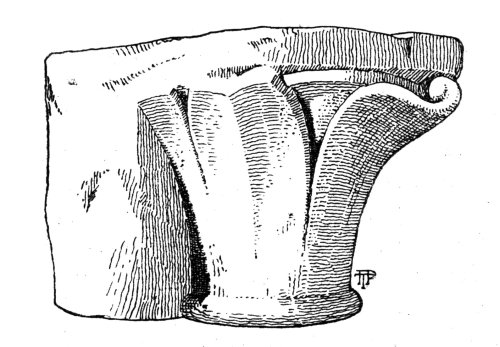 Fig. 3&mdash;Transitional Capital.