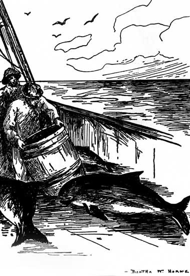 "THEY HAD MORE PORPOISES ON DECK THAN YOU WOULD HAVE
THOUGHT THAT THEY COULD POSSIBLY USE"