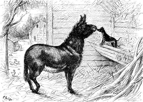 STABLE TALK&mdash;Drawn by Frank Bellew, Jun.