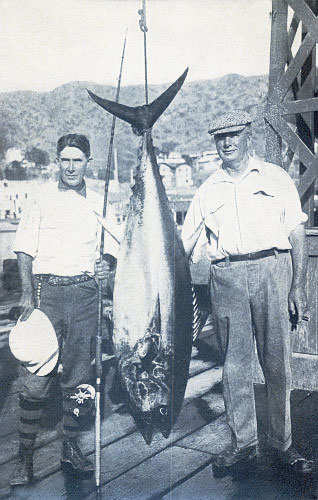 A BLUE-FINNED PLUGGER OF THE DEEP&mdash;138-POUND TUNA