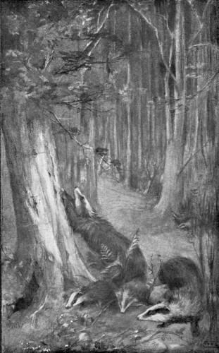 &ldquo;AS HE MEASURED HIS FULL LENGTH AGAINST THE TREE.&rdquo;