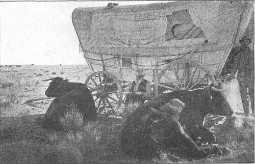 Nooning beside the prairie schooner.