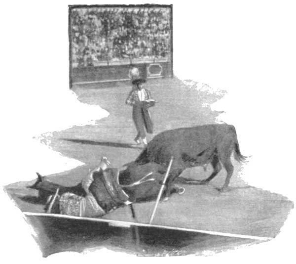 "FLINGING HORSE AND RIDER LIKE STUFFED MUSEUM
SPECIMENS."