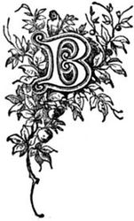 B B