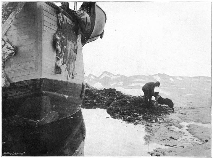 The stern of the &ldquo;Fram.&rdquo; Johansen and &ldquo;Sultan.&rdquo; June 16, 1894