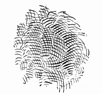 LINES TO PRODUCE THE STIPPLE EFFECT.

From the Annual Encyclopedia. Copyrighted, 1891, by D. Appleton & Co.