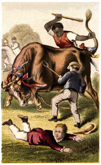Frontispiece