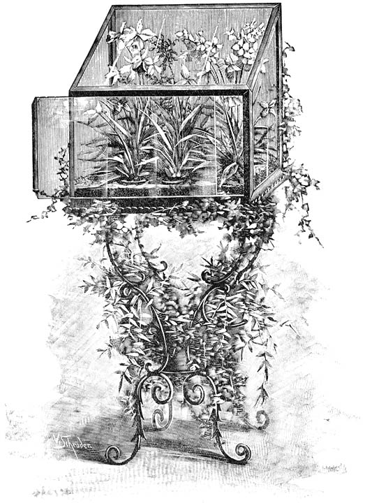 Fig. 152. Kamerkasje met bloeiende Orchidee&euml;n.