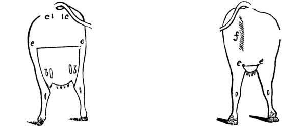 Fig. 15. Fig. 16.
