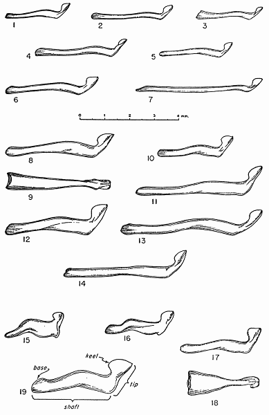 Figs. 1-19. Lateral view of right side, unless otherwise indicated, of the
baculum in each of the species of chipmunks (subgenus Neotamias) of western
North America