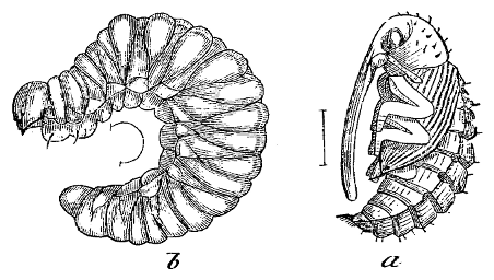 Fig. 16 at 100 dpi Fig. 16