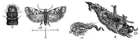 Fig. 17 and 18 at 50 dpi Fig. 17 and 18