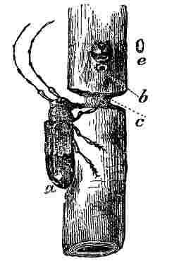 Fig. 19 at 100 dpi Fig. 19