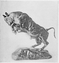 From the collection of the late Cyrus J. Lawrence, Esq.

The Prancing Bull

("TAUREAU CABR�")

From a bronze by Barye
