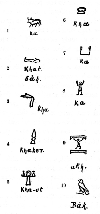 Figure 67. Illustration.