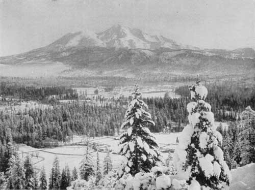 Mount Shasta
