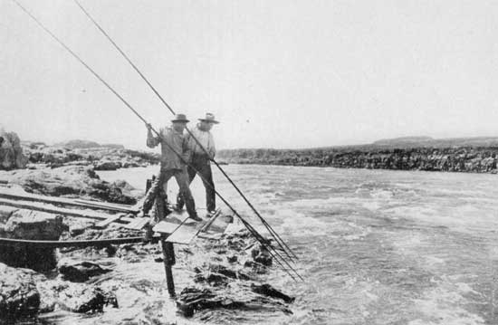 Natives spearing salmon on the Columbia
