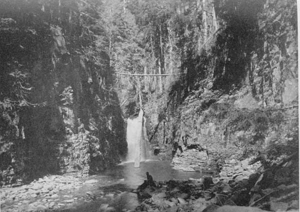 An Oregon trout stream
