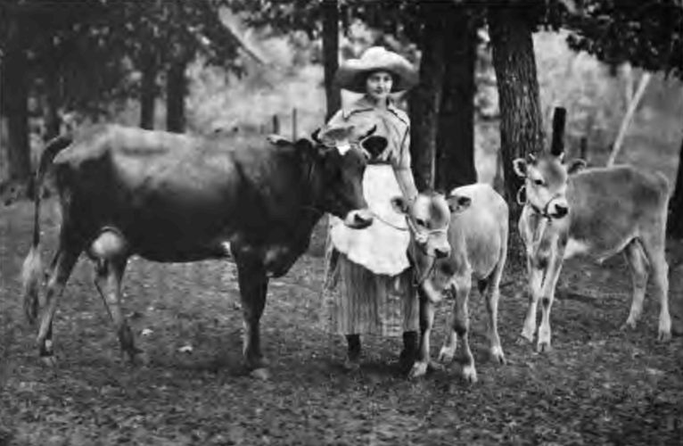 This Tennessee girl is a member of a Gardening and
Canning Club. She won the cow and calves as premiums for having the best
exhibit at the State Fair.