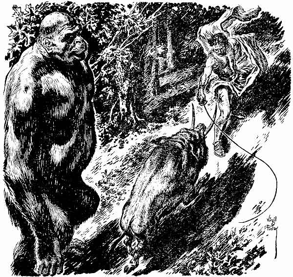The boar charged while death and the Golden Ape stood
grinning.