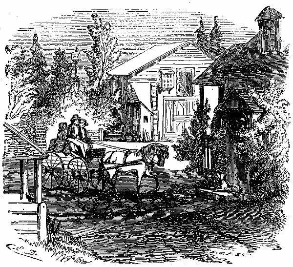 The Yard at Mr. Randon's. Illustration.