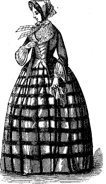 Figure 2.—Young Lady's Toilet. Illustration.