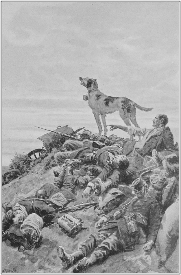 ON THE MARNE