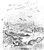 T&aacute;j-el-Mulook hunting