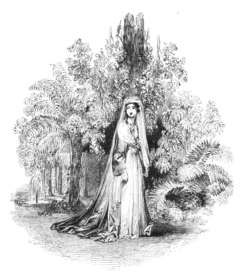 The Lady Duny&agrave;